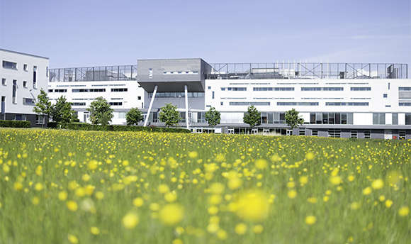 A low angle image of Ӱֱ Campus with flowers in the foreground